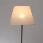 Торшер Arte Lamp ALEA A5068PN-1BK — изображение 2