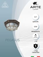 Уличный потолочный светильник Arte Lamp PEGASUS A3121PF-1BN — изображение 5