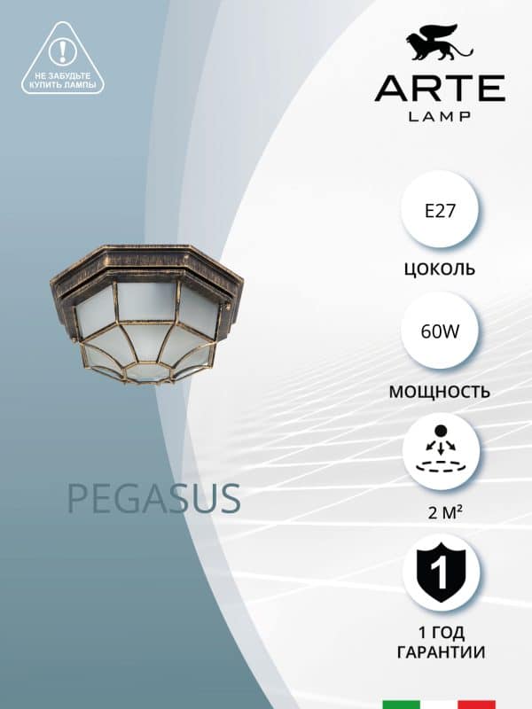 Уличный потолочный светильник Arte Lamp PEGASUS A3121PF-1BN — изображение 5