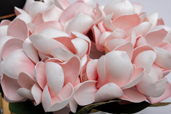 спрей Winter in Chateau 10ml + спрей Charente rose 10ml в упак.