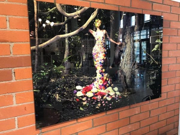 Фотография Eden — изображение 3