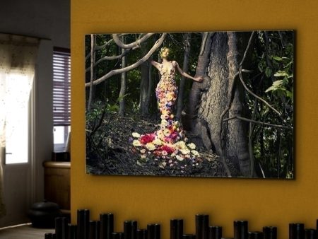 Фотография Eden