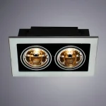 Карданный светильник Arte Lamp CARDANI MEDIO A5930PL-2SI — изображение 2