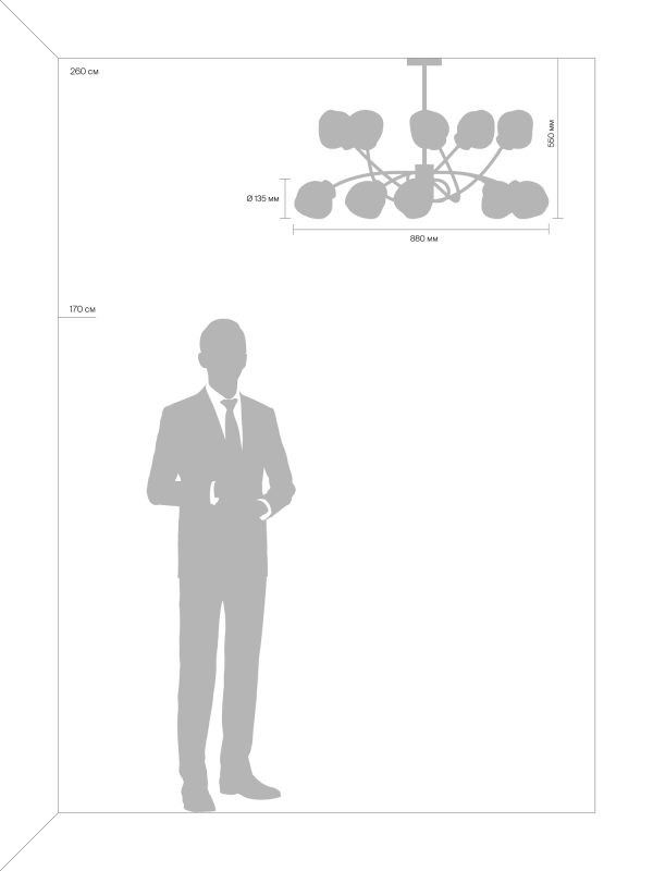 ljustra-freya-fr8017pl-10mg-3 Люстра Freya FR8017PL-10MG — изображение 4