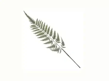 Ветка декоративная Папоротник 71см