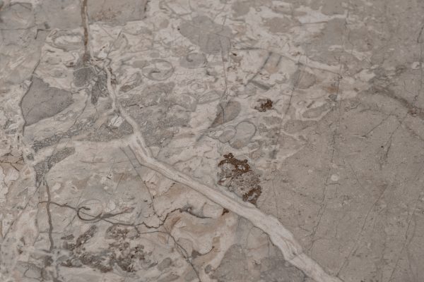 керамика Augustus Gray d90*39см