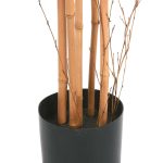 Бамбук высота 175 — изображение 2