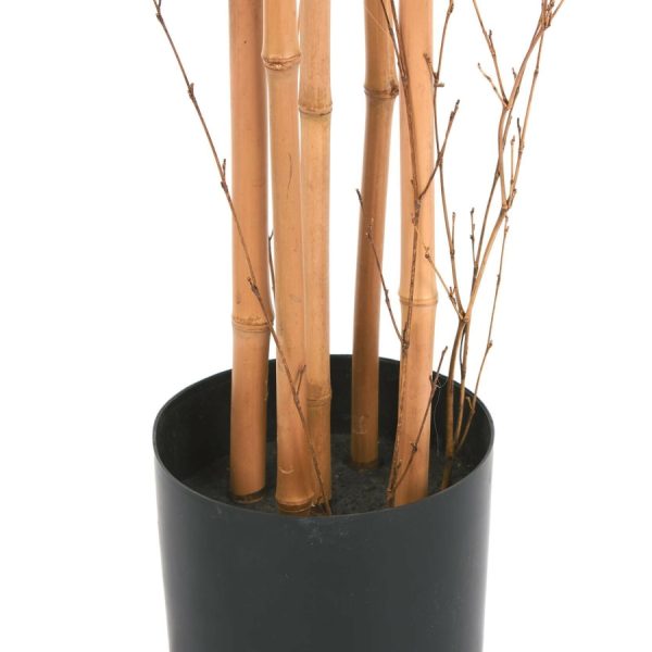 Бамбук высота 175 — изображение 2