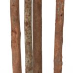 Фикус Эластика высота 180 — изображение 2