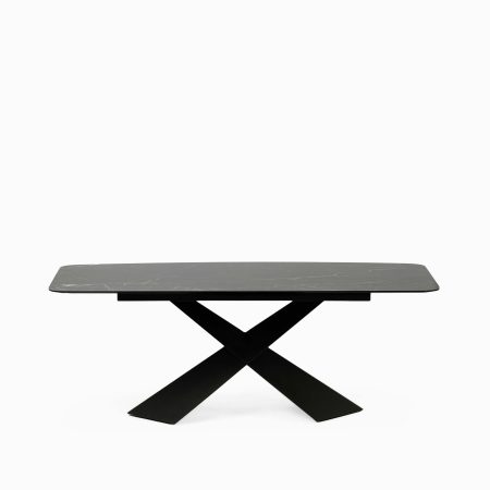 Обеденный стол Reagan 200х100