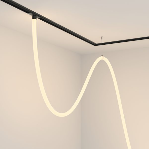 Трековый подвесной светильник Technical TR101-2-100W3K-B — изображение 2