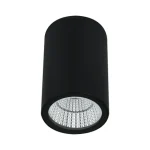 Уличный потолочный светильник Arte Lamp TORCULAR A1307PF-1BK