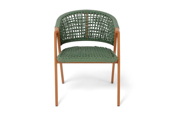 цвет зеленый