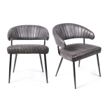 АВАСТХА Грей