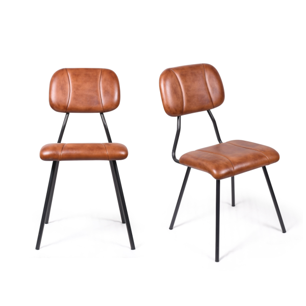 САТРИЯ Браун