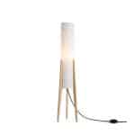 Напольный светильник (торшер) Freya FR5543FL-01T