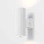 Настенный светильник (бра) Outdoor O419WL-02W