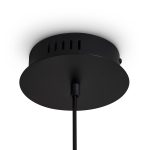 Подвесной светильник Freya FR5557PL-L14B — изображение 5