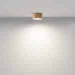 Потолочный светильник Technical C032CL-12W4K-RD-MG — изображение 2