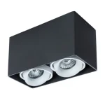 Точечный накладной светильник Arte Lamp PICTOR A5654PL-2BK