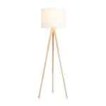 Напольный светильник (торшер) Freya FR5495FL-01W