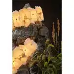 Настенный светильник Divinare ELEANOR 1713/17 AP-12 — изображение 3