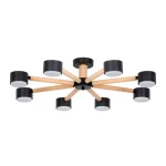 Потолочная люстра Arte Lamp TENDA A1624PL-8BK