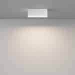 Потолочный светильник Technical C068CL-12W3-6K-W — изображение 4