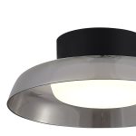 SL6019.412.01 Светильник потолочный ST-Luce Черный/Дымчатый, Белый LED 1*36W 3000K FORAY — изображение 3