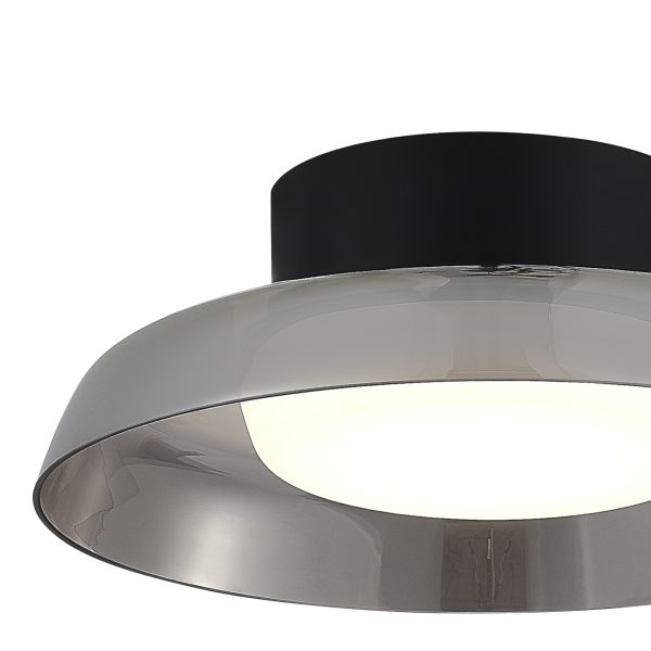SL6019.412.01 Светильник потолочный ST-Luce Черный/Дымчатый, Белый LED 1*36W 3000K FORAY — изображение 3