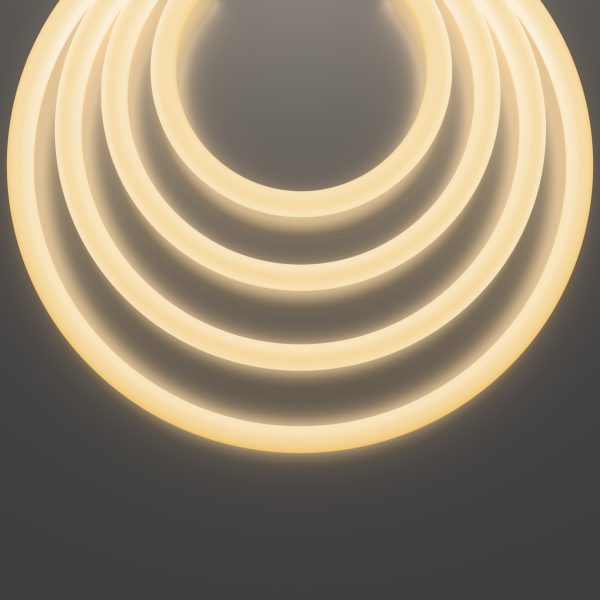 Гибкий неон Led Strip 20306 — изображение 3