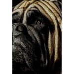 Картина стеклянная King Pug 40x60 см — изображение 3