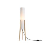 Напольный светильник (торшер) Freya FR5543FL-01T