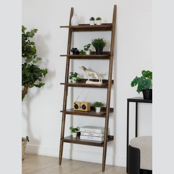 ПАНКХИ Браун, стеллаж с полками, массив — изображение 5