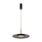 Подвесной светильник Maytoni MOD041PL-L15B3K1