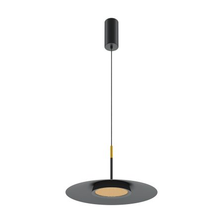 Подвесной светильник Maytoni MOD041PL-L15B3K1