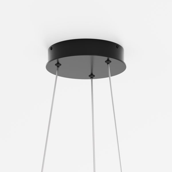 Подвесной светильник Maytoni MOD058PL-L22BK — изображение 2