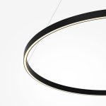 Подвесной светильник Maytoni MOD058PL-L54BK — изображение 5