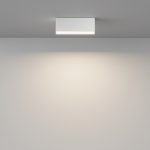 Потолочный светильник Technical C068CL-12W3-6K-W — изображение 5