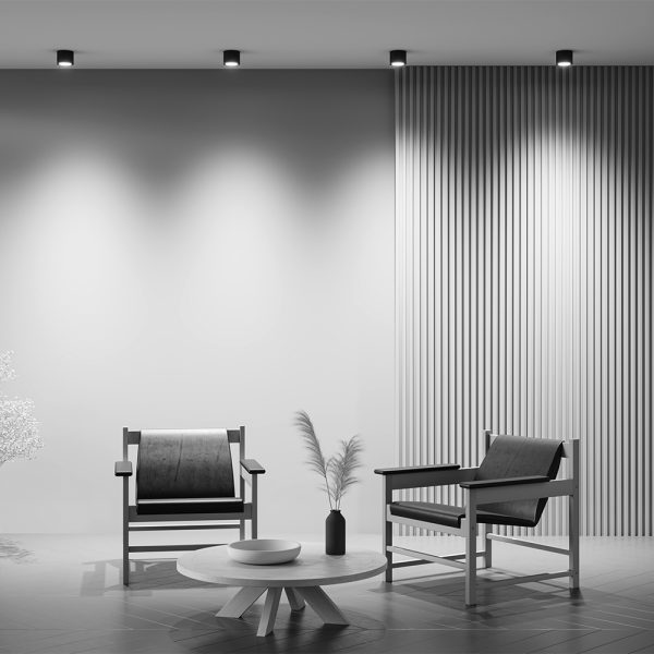 Потолочный светильник Technical C095CL-GX53-B — изображение 5