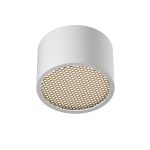 Потолочный светильник Technical C122CL-GX53-W