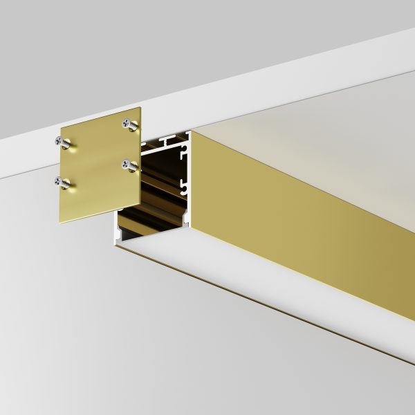 Композиция Frida 7 с принтом, робиния брэнсон — изображение 4