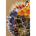 Картина в раме Flower Hair 120x120 см — изображение 3