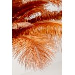 Светильник напольный Feather Palm Brown 165 см — изображение 2