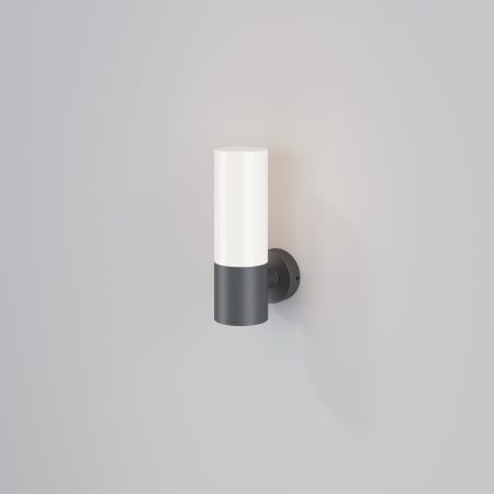 Уличный настенный светильник Outdoor O418WL-01GR