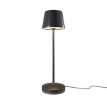 Аккумуляторный светильник Maytoni MOD494RL-L1BK