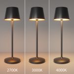 Аккумуляторный светильник Maytoni MOD494RL-L1BK — изображение 4