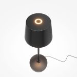 Аккумуляторный светильник Maytoni MOD494RL-L1BK — изображение 5