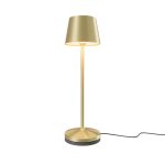 Аккумуляторный светильник Maytoni MOD494RL-L1BSK