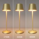 Аккумуляторный светильник Maytoni MOD494RL-L1BSK — изображение 5